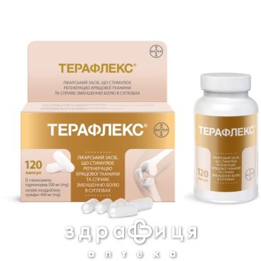 Терафлекс капс №120