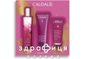 Caudalie The des vignes xmas 2024 крем д/рук 30мл/гель 50мл/туалет вода 50мл
