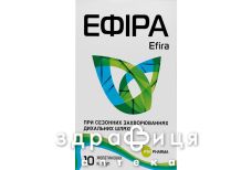 ДД ЕФІРА КАПС ЖЕЛАТ №10