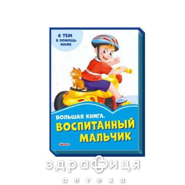Книга василькові книги велика книга вихований хлопець (рос) Дитяча іграшка