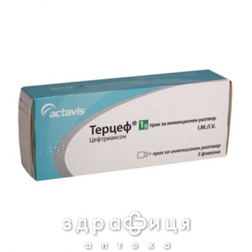ТЕРЦЕФ ПОР Д/ИН 1Г №5     /N/ | антибиотики
