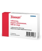 ЗИННАТ