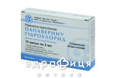 Папаверина г/х д/ин 2% 2мл №10