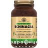 Solgar (Солгар) эхинацеи пурп экст капс №100