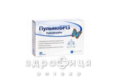 Пульмобриз пор д/орал сусп саше 2г №20