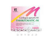 Гiнкгокапс-м капс. 0,04 г блiстер №20 таблетки для пам'яті