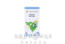 Фiточай матка борова 50г